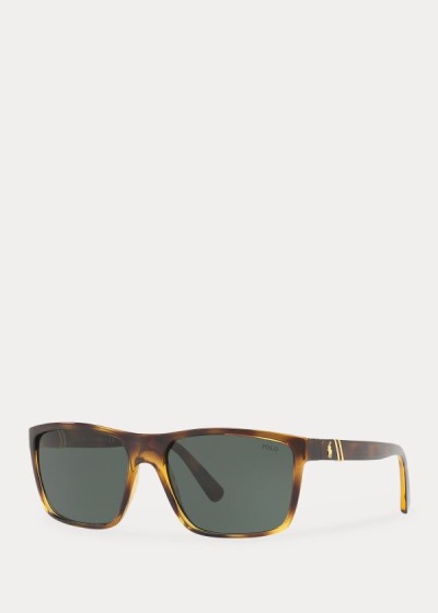 Men's Polo Ralph Lauren Regimental Sunglasses | 946537KPD